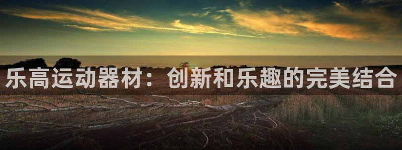 凯捷体育官方客服电话:乐高运动器材:创新和乐趣的完美结合