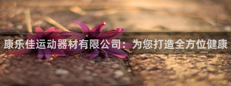 凯捷体育科技:康乐佳运动器材有限公司:为您打造全方位健康